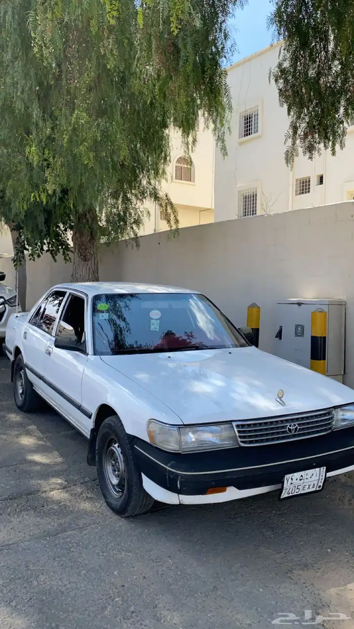 كرسيدا_XL_96 نظيف 0