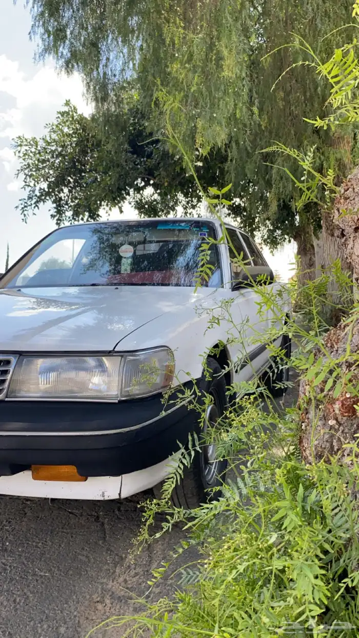 كرسيدا_XL_96 نظيف 4