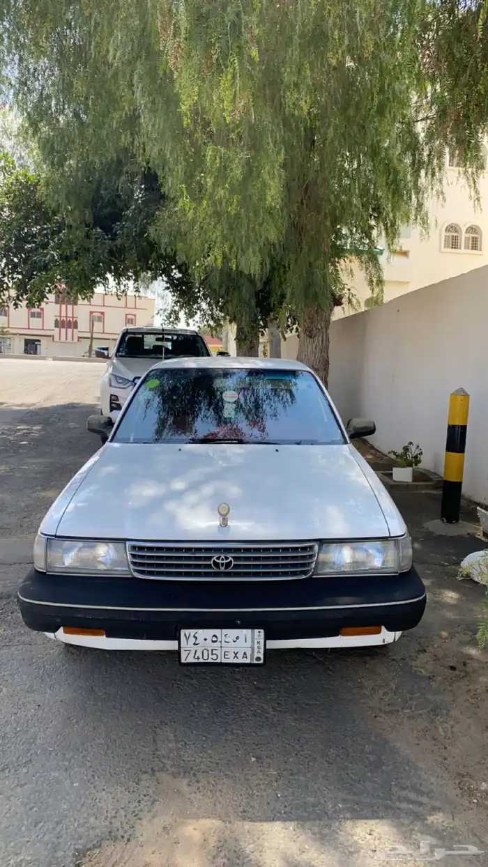 كرسيدا_XL_96 نظيف 12