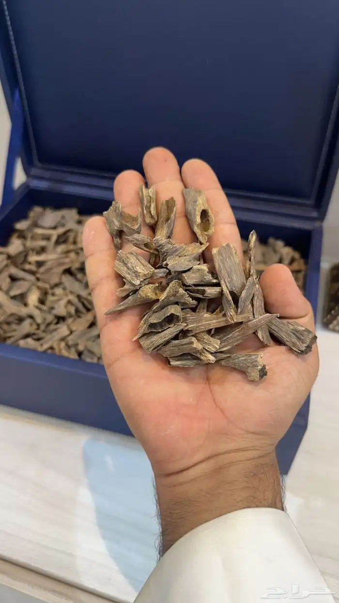 عود طبيعي ونوادر ومحسن والبيع بسعر جمله 6