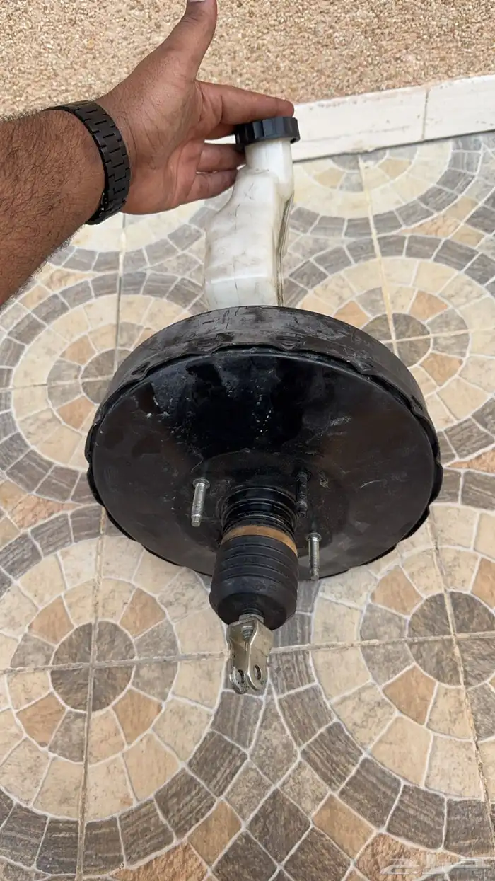 شيري 2022 2