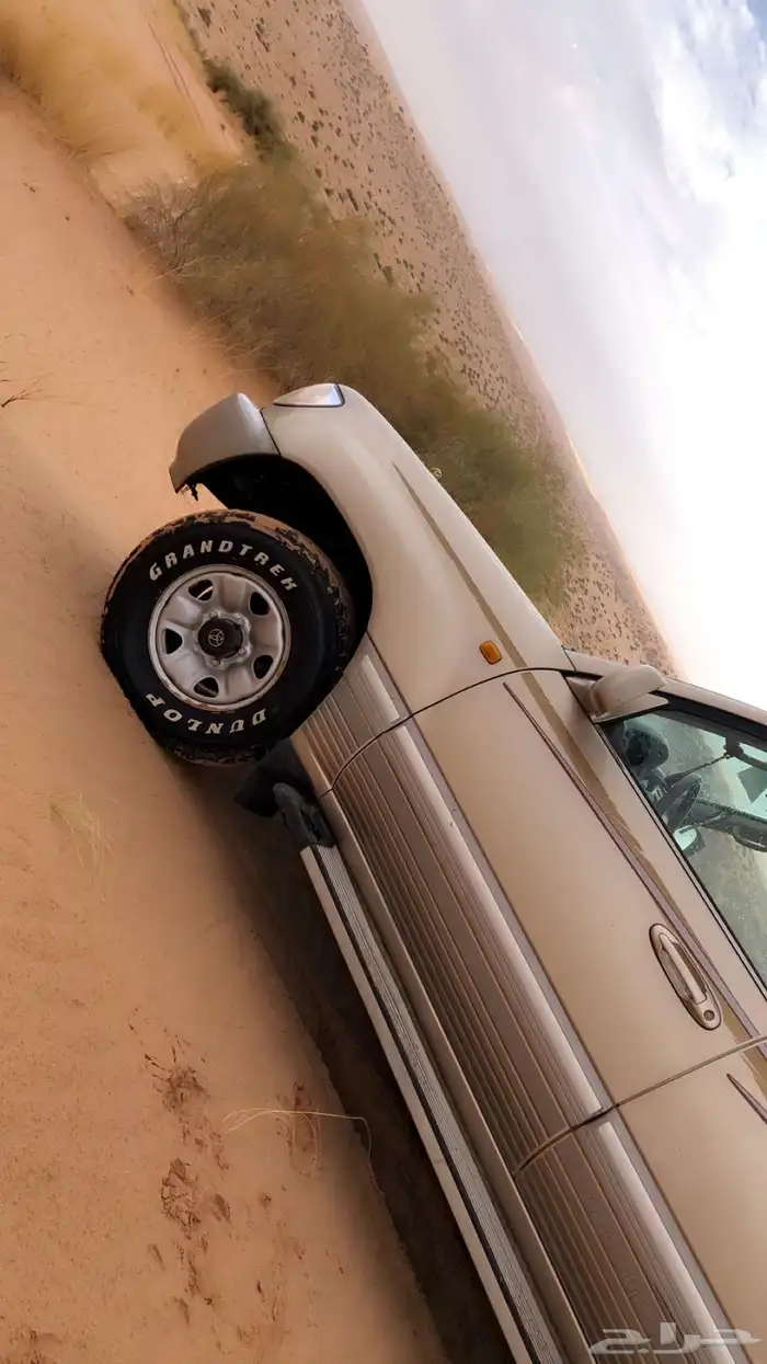 للبيع GXR2003 ذهبي 17