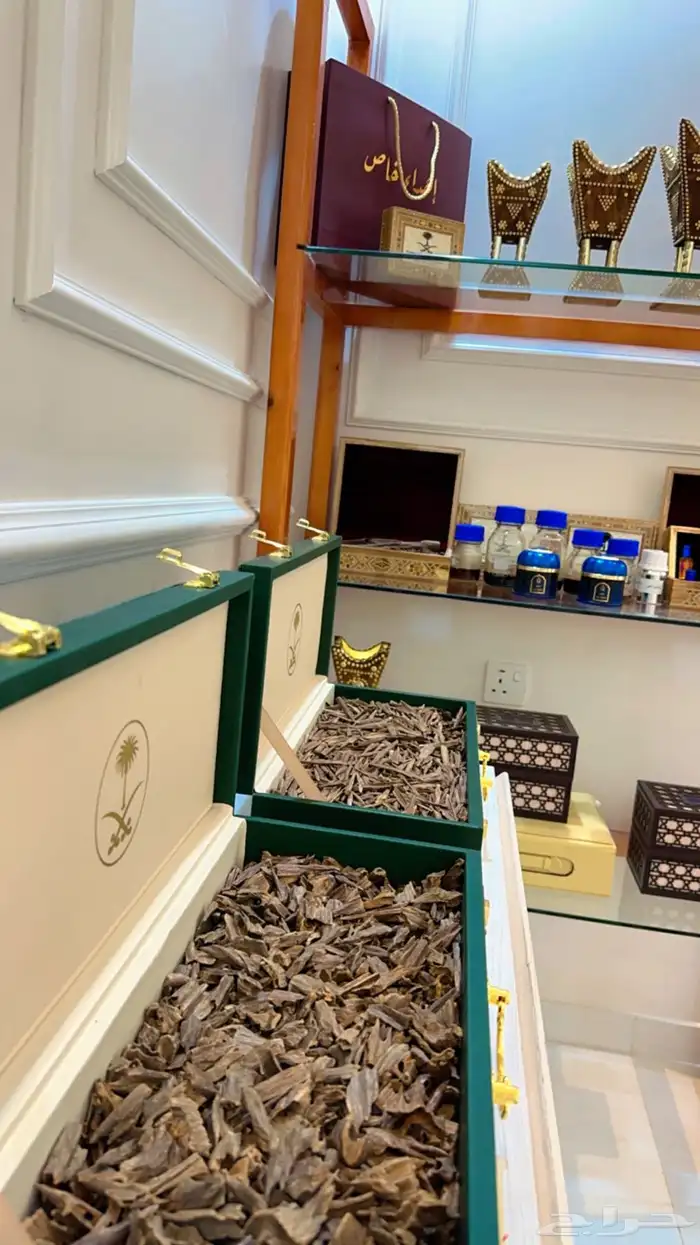 عود طبيعي ونوادر ومحسن والبيع بسعر جمله 1