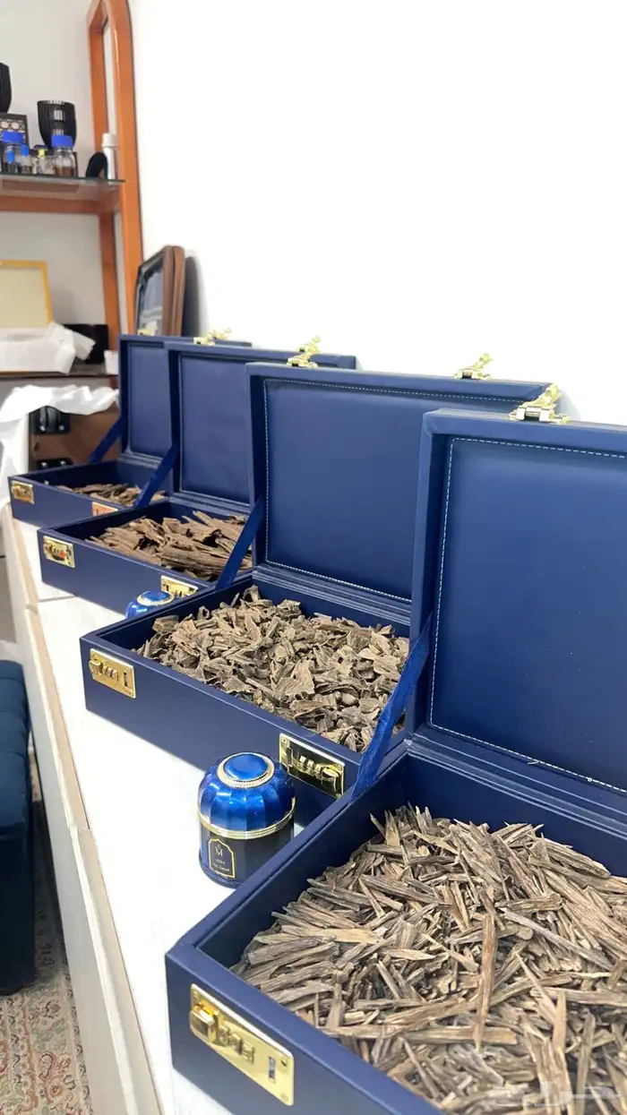 عود طبيعي ونوادر ومحسن والبيع بسعر جمله 5