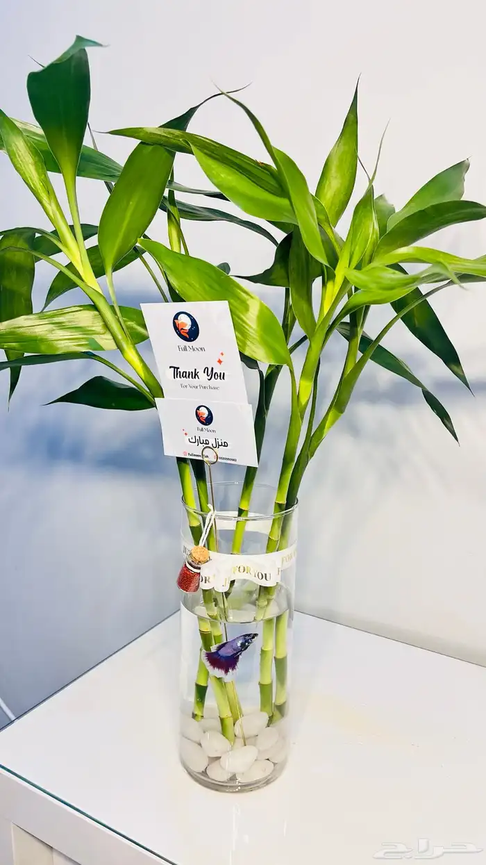 سمك الفايتر 2