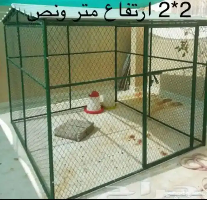 شبك حمام بقلاوة شبوك دجاج ارانب طيور قفص كلاب اقفاص قطط طير 11