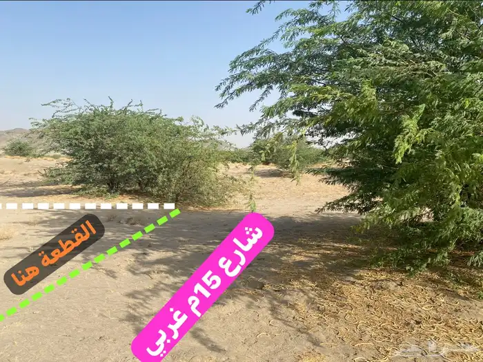 ارض بمقدمة مخطط ولي العهد 9ب امامها مسجد وحديقة 8
