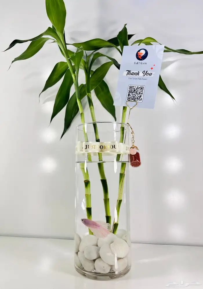 سمك الفايتر 0