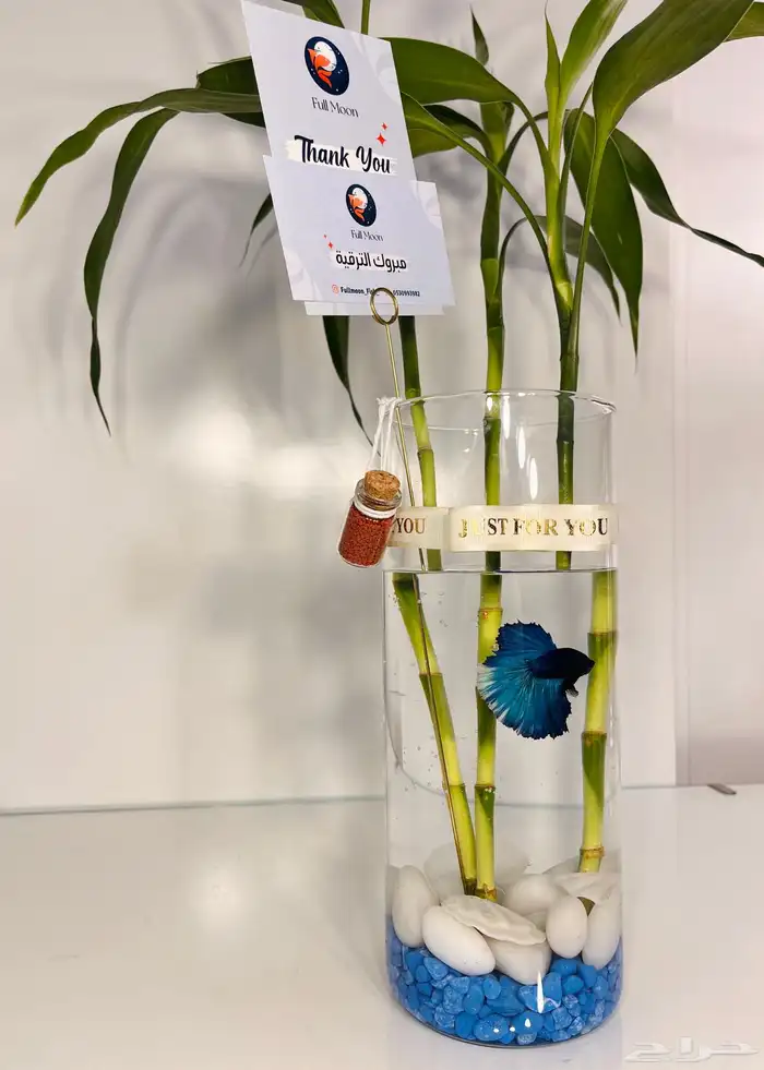 سمك الفايتر 5