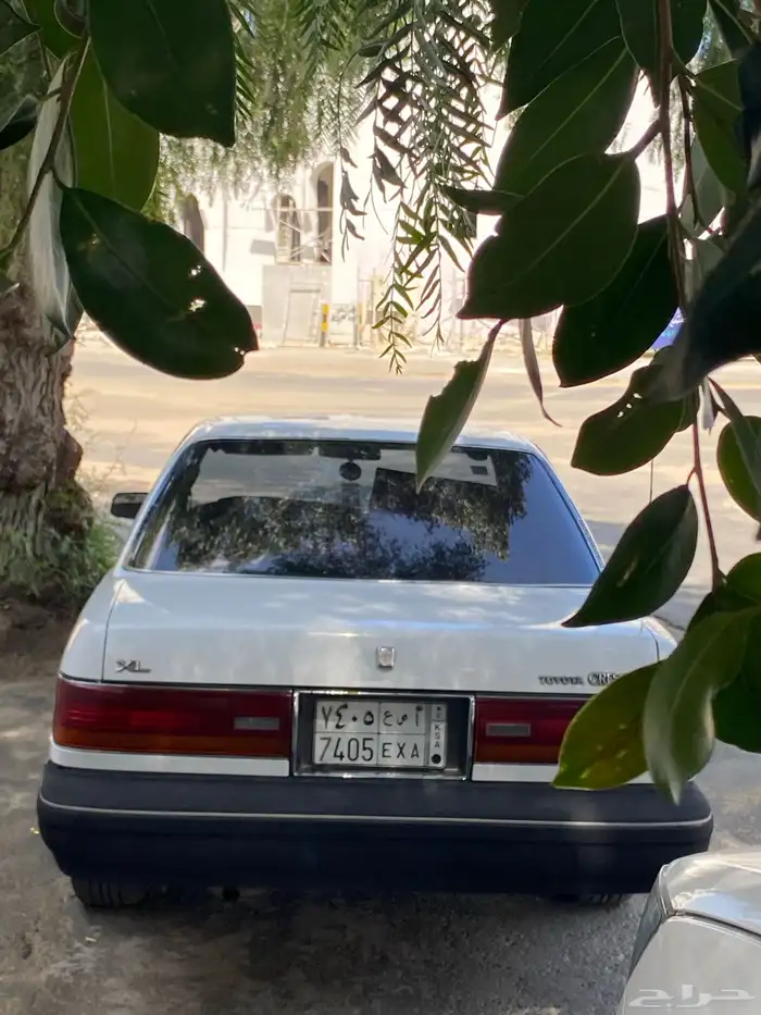 كرسيدا_XL_96 نظيف 9