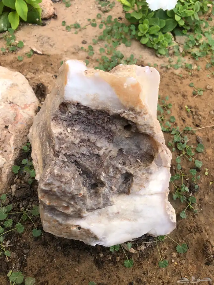 احجار نادره غريبه 0