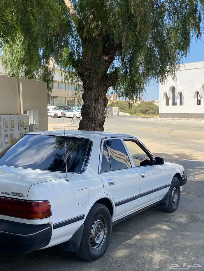 كرسيدا_XL_96 نظيف 10