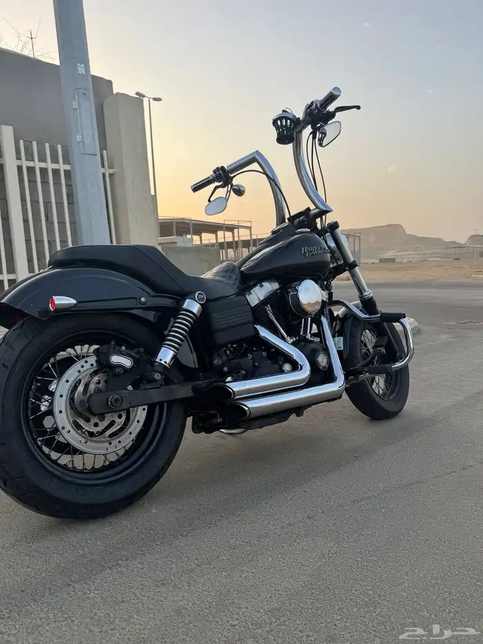 هارلي داينا ستريت بوب 2011 Dyna 0