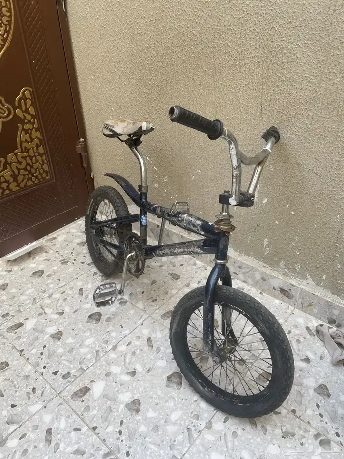 كوبرا للبيع مقاس 16 0