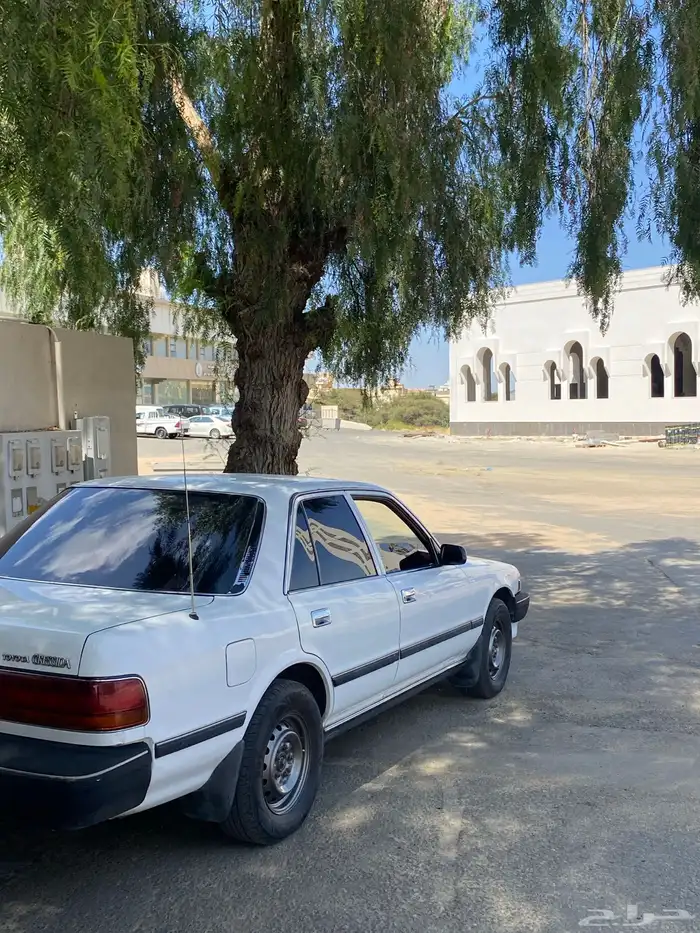 كرسيدا_XL_96 نظيف 11