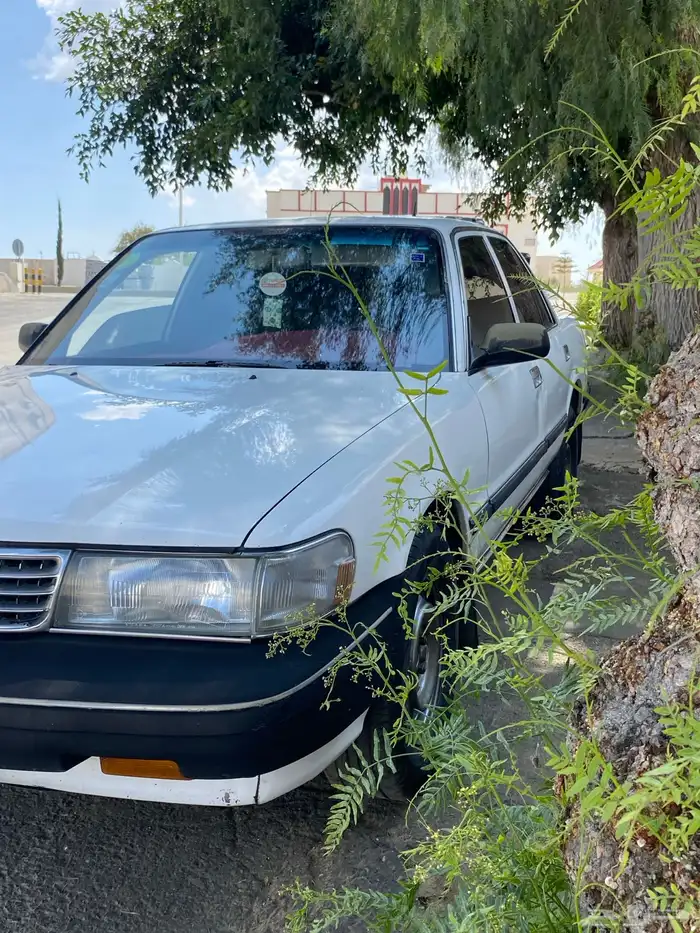 كرسيدا_XL_96 نظيف 3