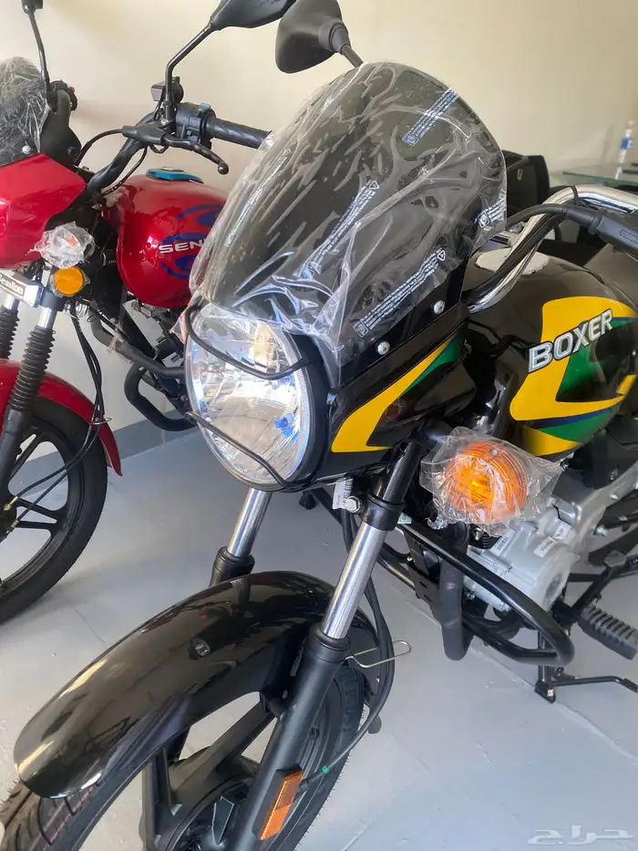 motorcycle show shop دراجات دباب دراجات نارية tamara tabby 4