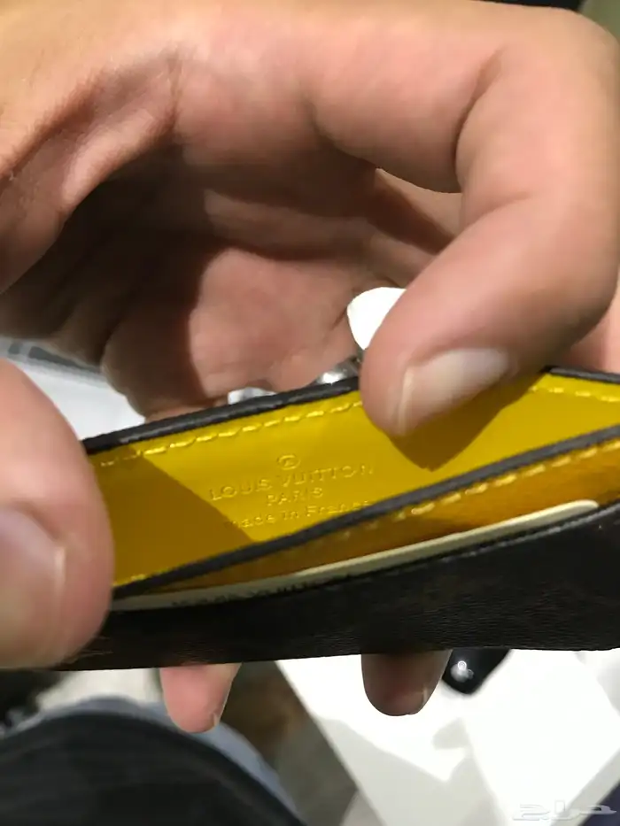 محافظ LV كوبي 3