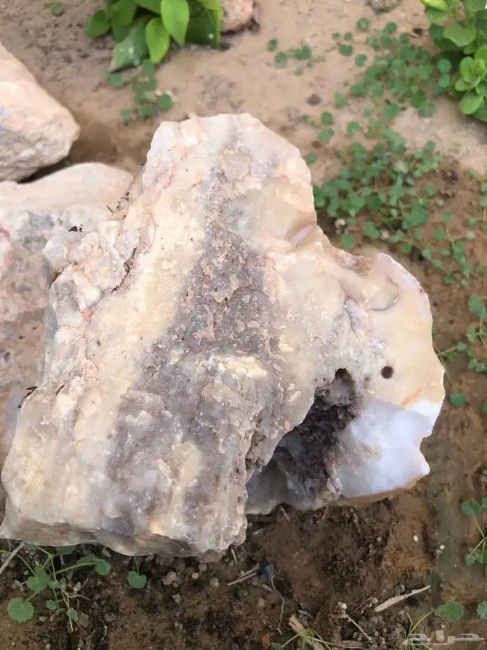 احجار نادره غريبه 1