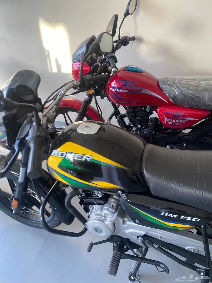 motorcycle show shop دراجات دباب دراجات نارية tamara tabby 0