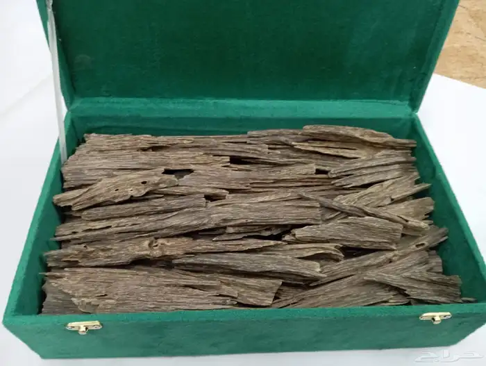 عود طبيعي ونوادر ومحسن والبيع بسعر جمله 14