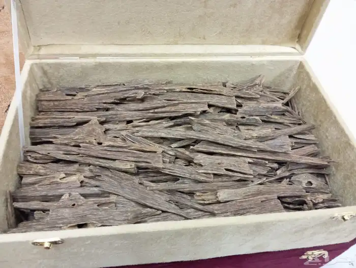 عود طبيعي ونوادر ومحسن والبيع بسعر جمله 11