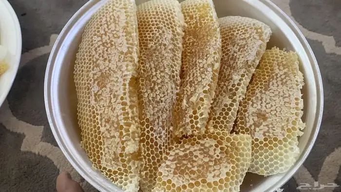 عسل سدر شمع وصافي للبيع 3