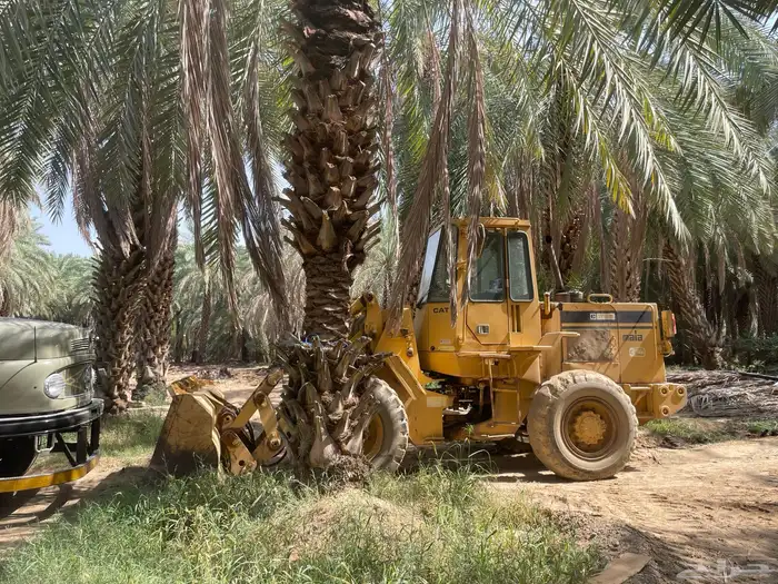 شيول وقلاب للبيع معدات مزرعه مشروطه الموقع محافظة العيص 10