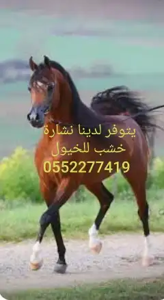 يتوفر لدينا نشارة للخيول بمدينة حائل 0