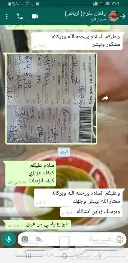 زيت زيتون فلسطين من جبال سفوح نابلس بكر مضمون 29