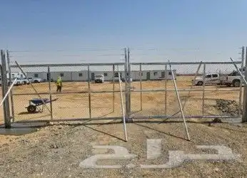 زراعه نخيل 8