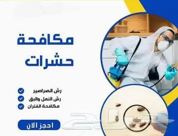 شركة مكافحة حشرت بتبوك مع الضمان 8