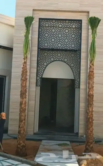 نخيل توريد وزراعه عربي واشنطني 6