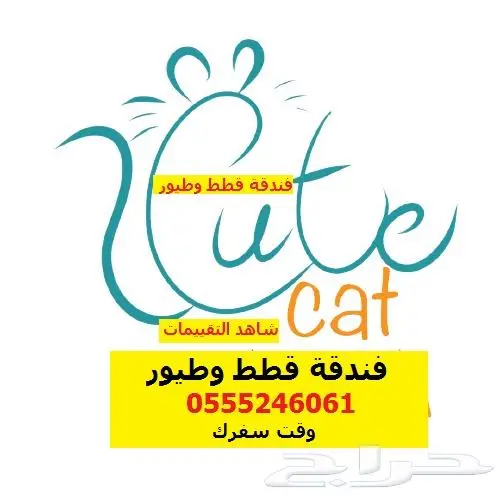 فندقة قطط فندقة طيور 6061 24 0555 شاهد التقييمات - الرياض 2
