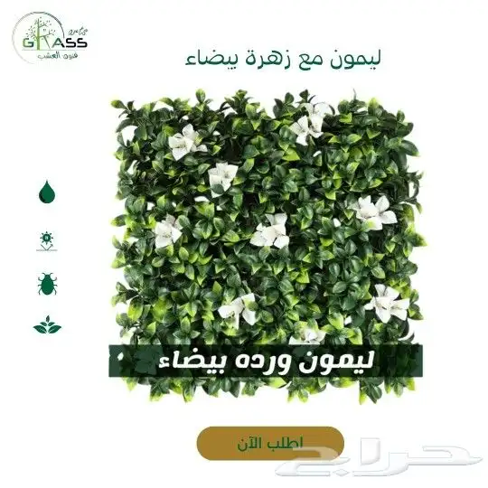 عشب ارضى عشب جدارى انجيلة صناعية بسعر الجملة 5