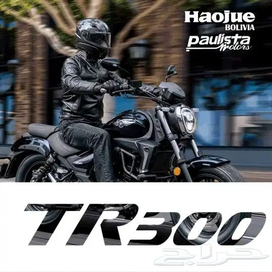 Tr300 haojue 4