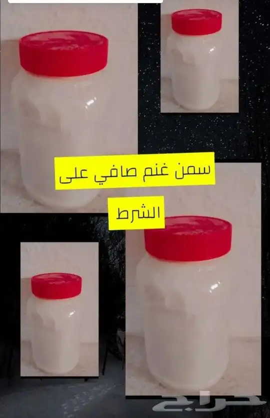 سمن غنم صافي على الشرط العلبة كيلوا 0