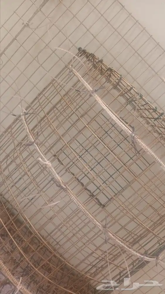 قراشع لطرح الصقور 3