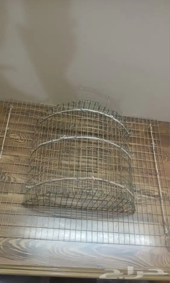 قراشع لطرح الصقور 0