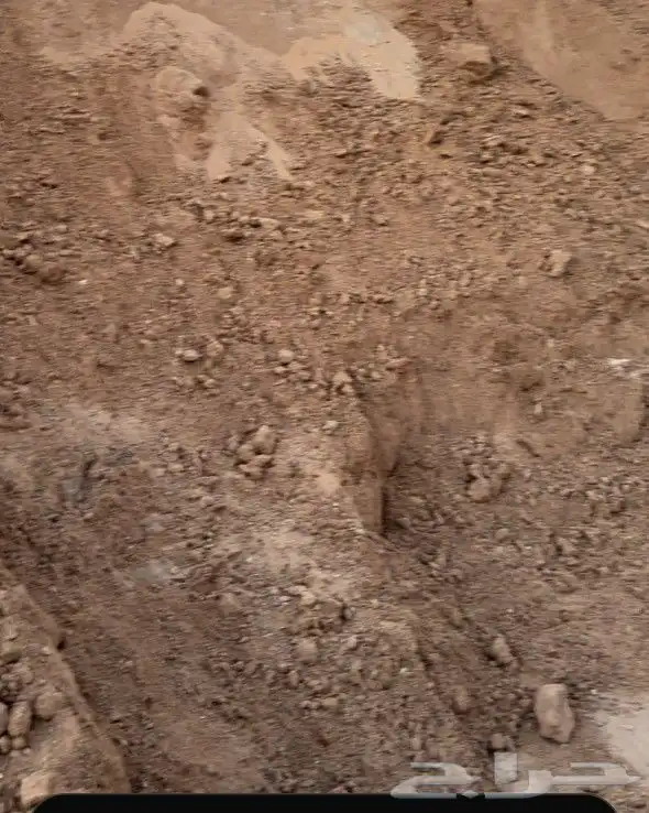 تربه زراعيه صالحه للزراعه سماد عضوي بيتموس 9