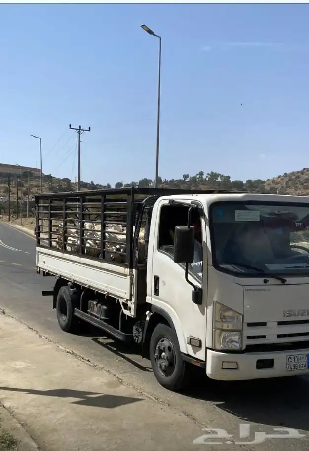 للبيع دينك شبك بلد ممشى قليل كفر بلدها 7