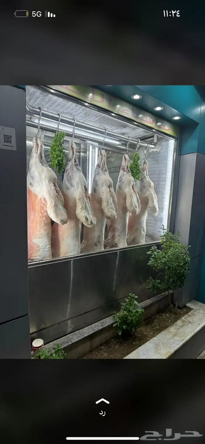 شوي خارجي مشويات شواء 4