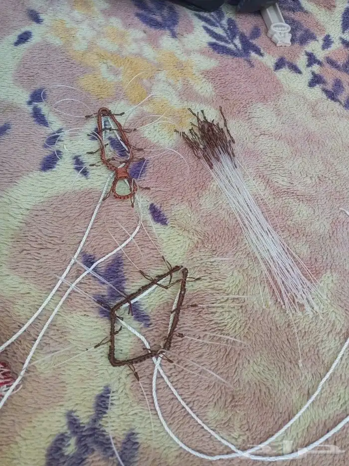 شبك لصيد الصقور 2