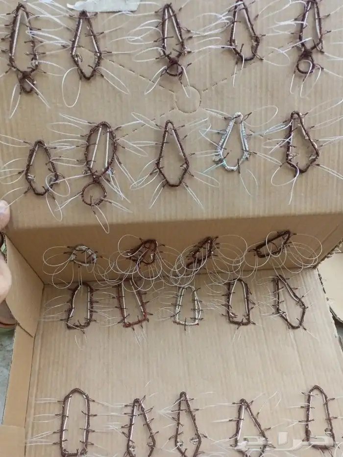 شبك لصيد الصقور 3