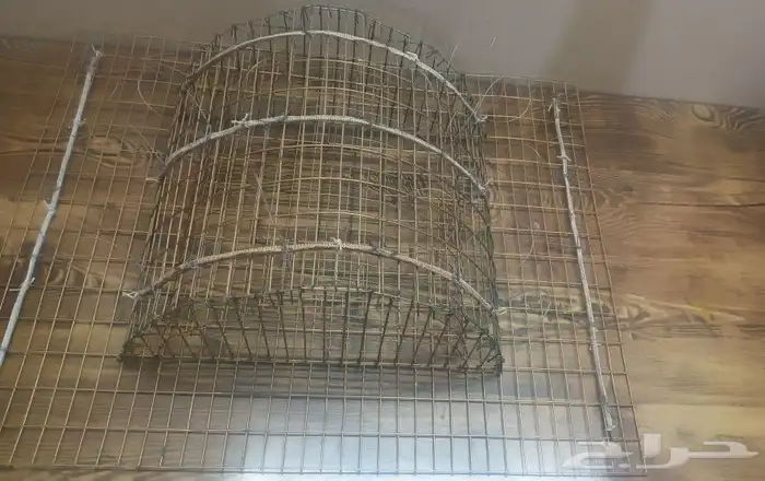 قراشع لطرح الصقور 2