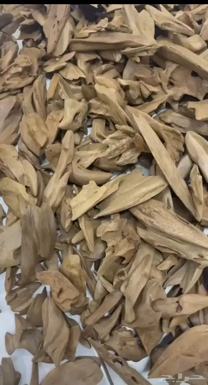 عود مروكي دبل سوبر آصقون طبيعي 0