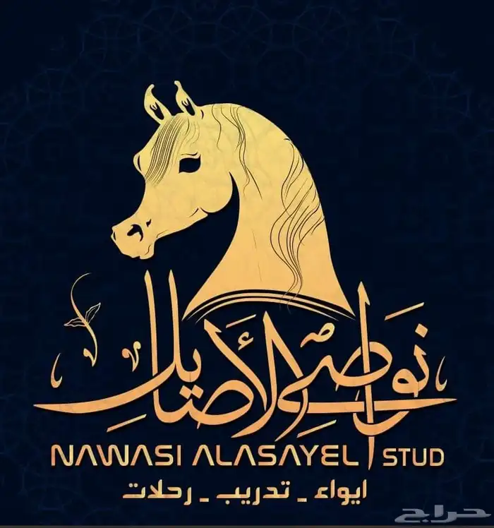 مربط نواصي الاصايل وتدريب الخيل 0
