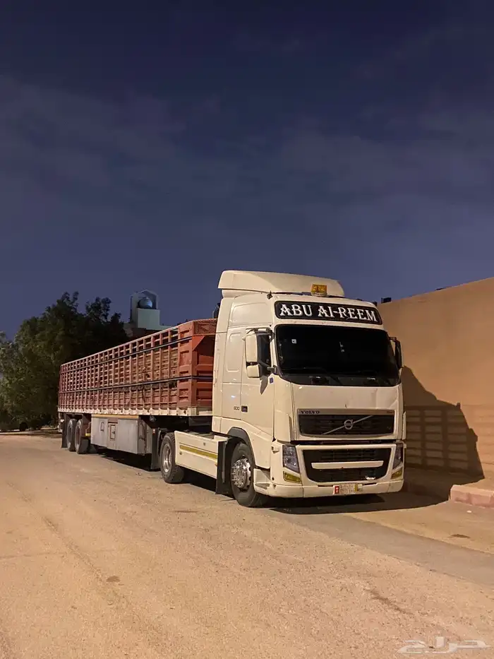 نقل ابل هجن مطايا 1