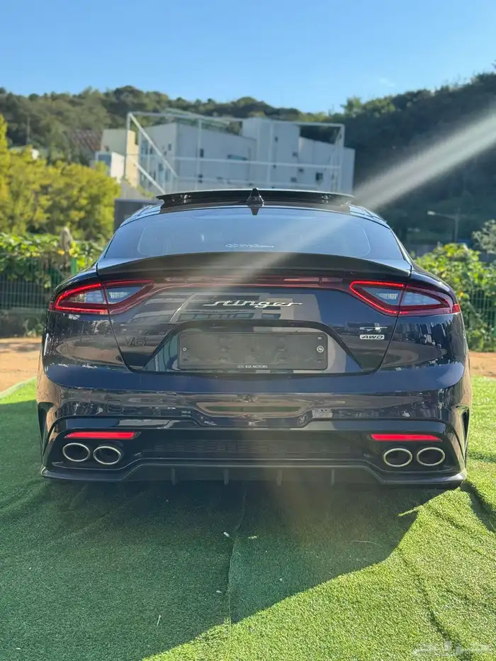 Stinger 2019 5
