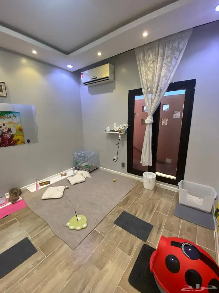 فندقة قطط هوووم سويت 17